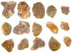 Lot - Pink and Orange Bladed Barite - Pieces - Morocco #138053-1